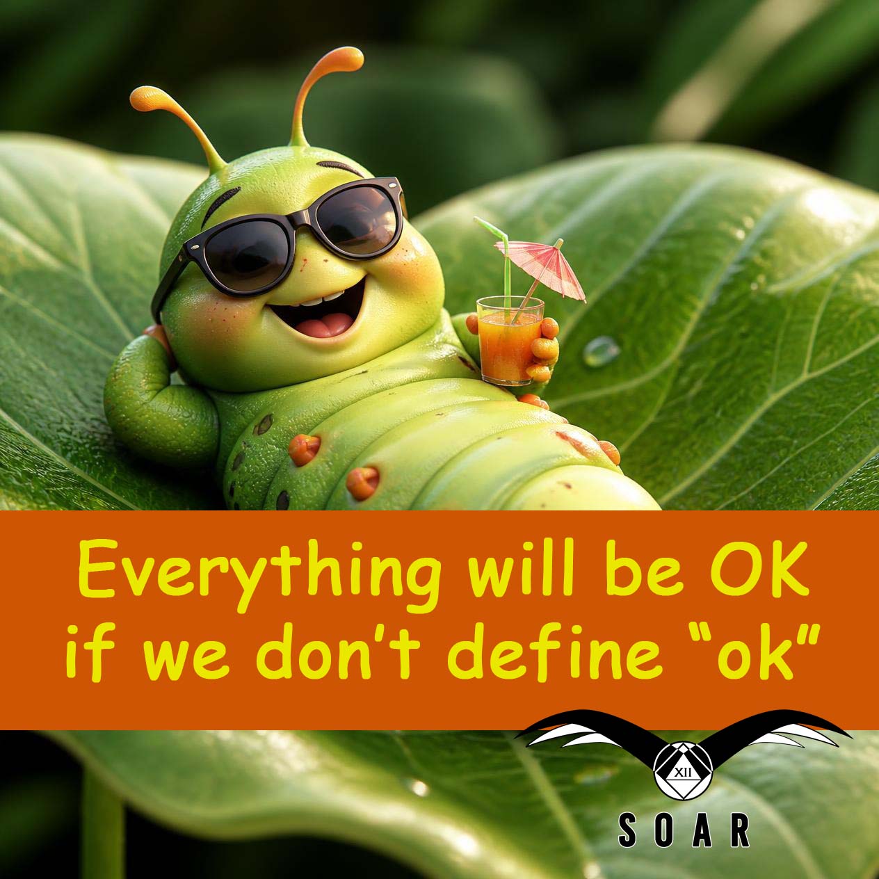 Sober meme: Everything will be OK so long as we don't define OK